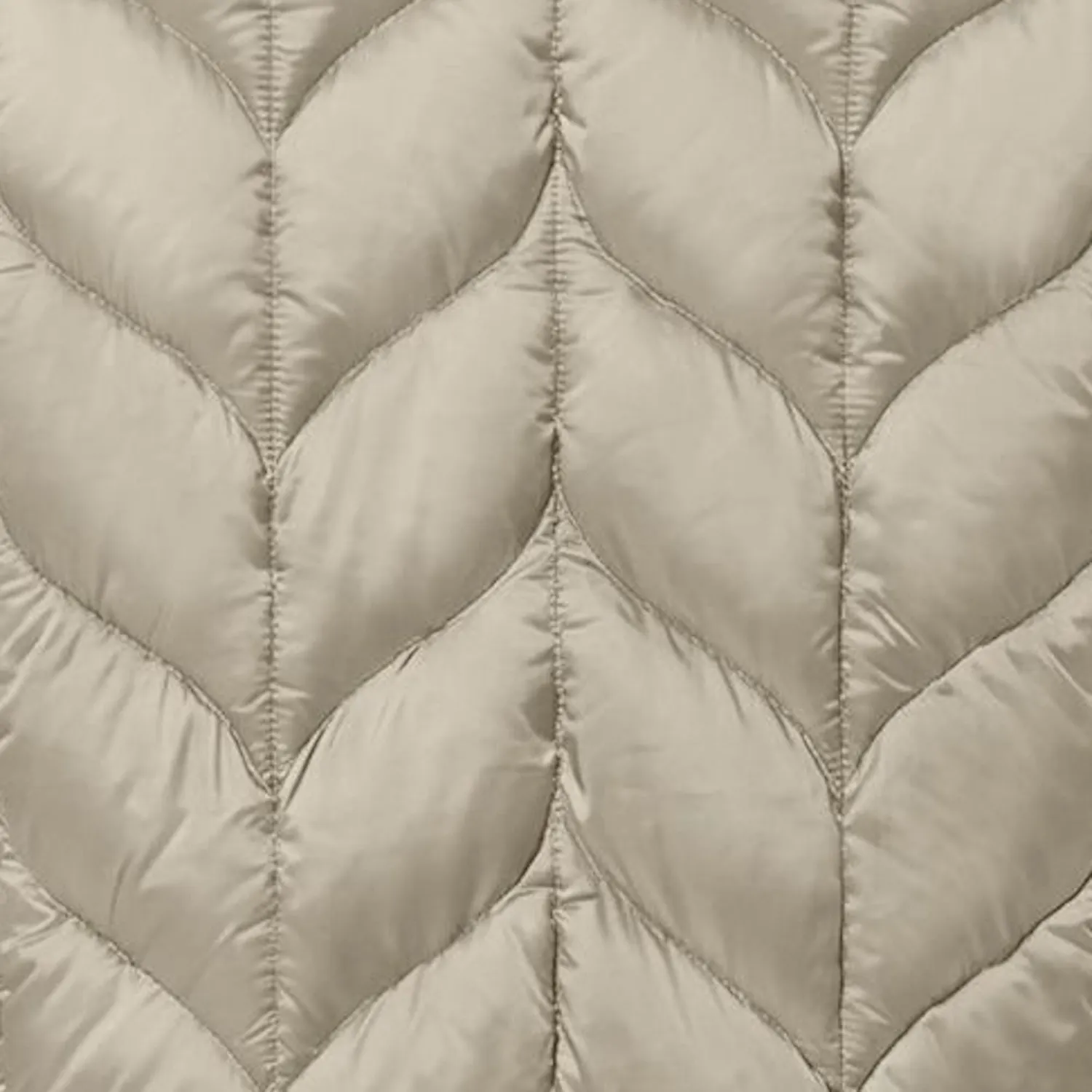 Save The Duck Lorette jakke dame Shore Beige dyrefri