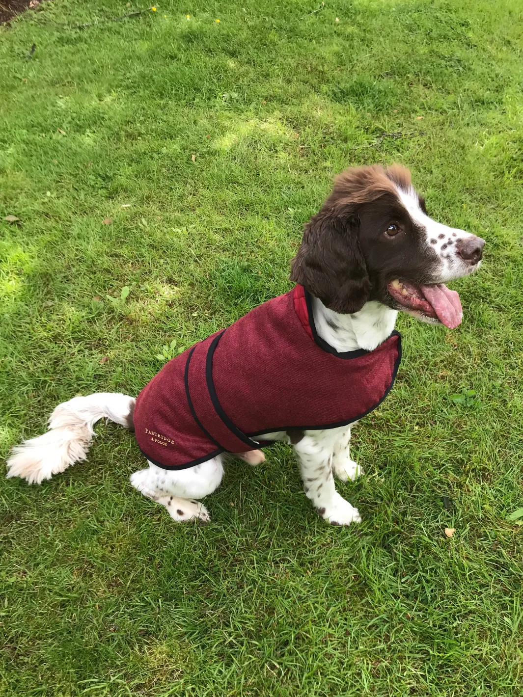 John Partridge Dog Coat hundedekken Red Tweed S–M justerbart