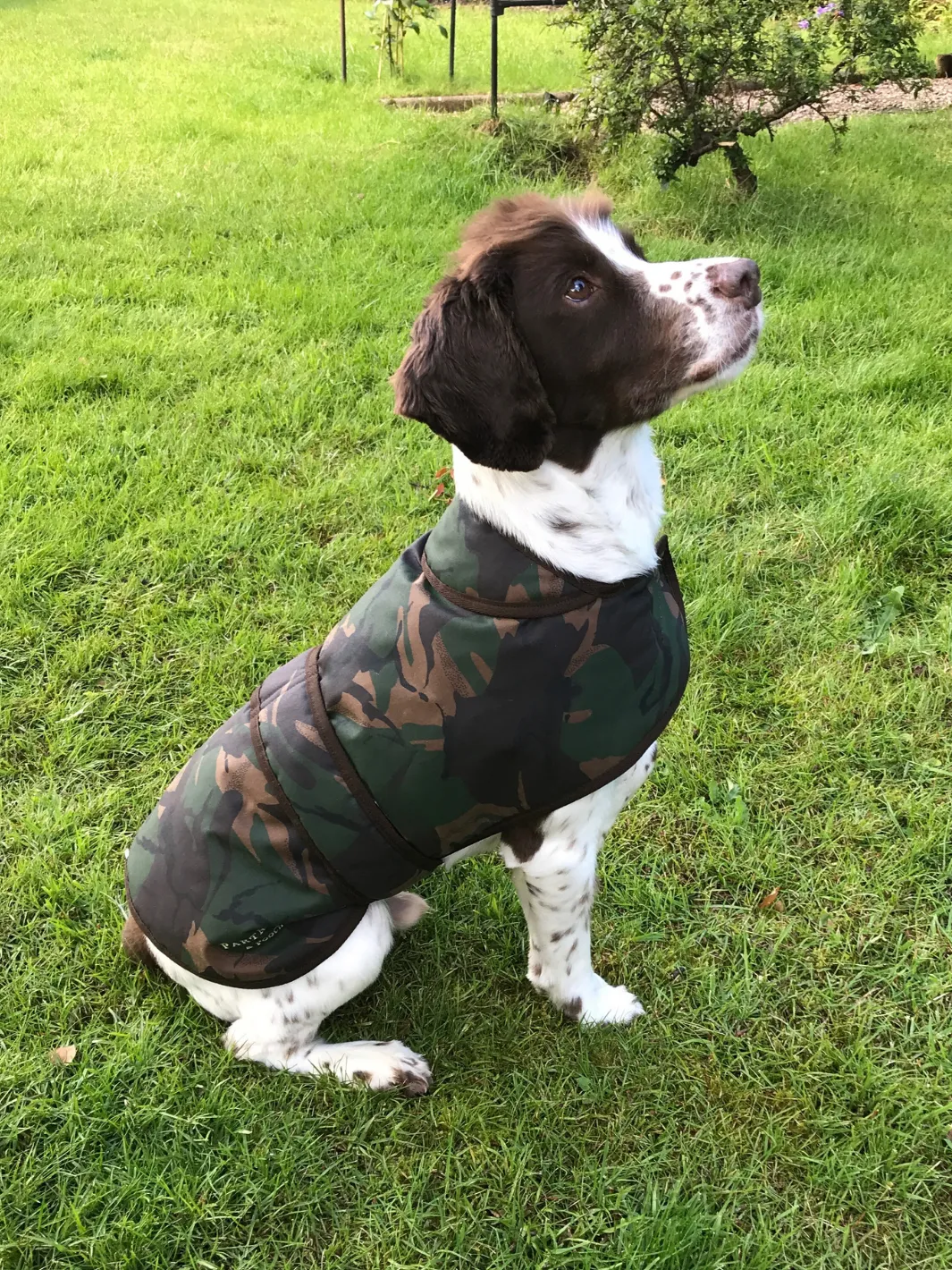 John Partridge Camo Wax hundedekken S–M, voksbehandlet