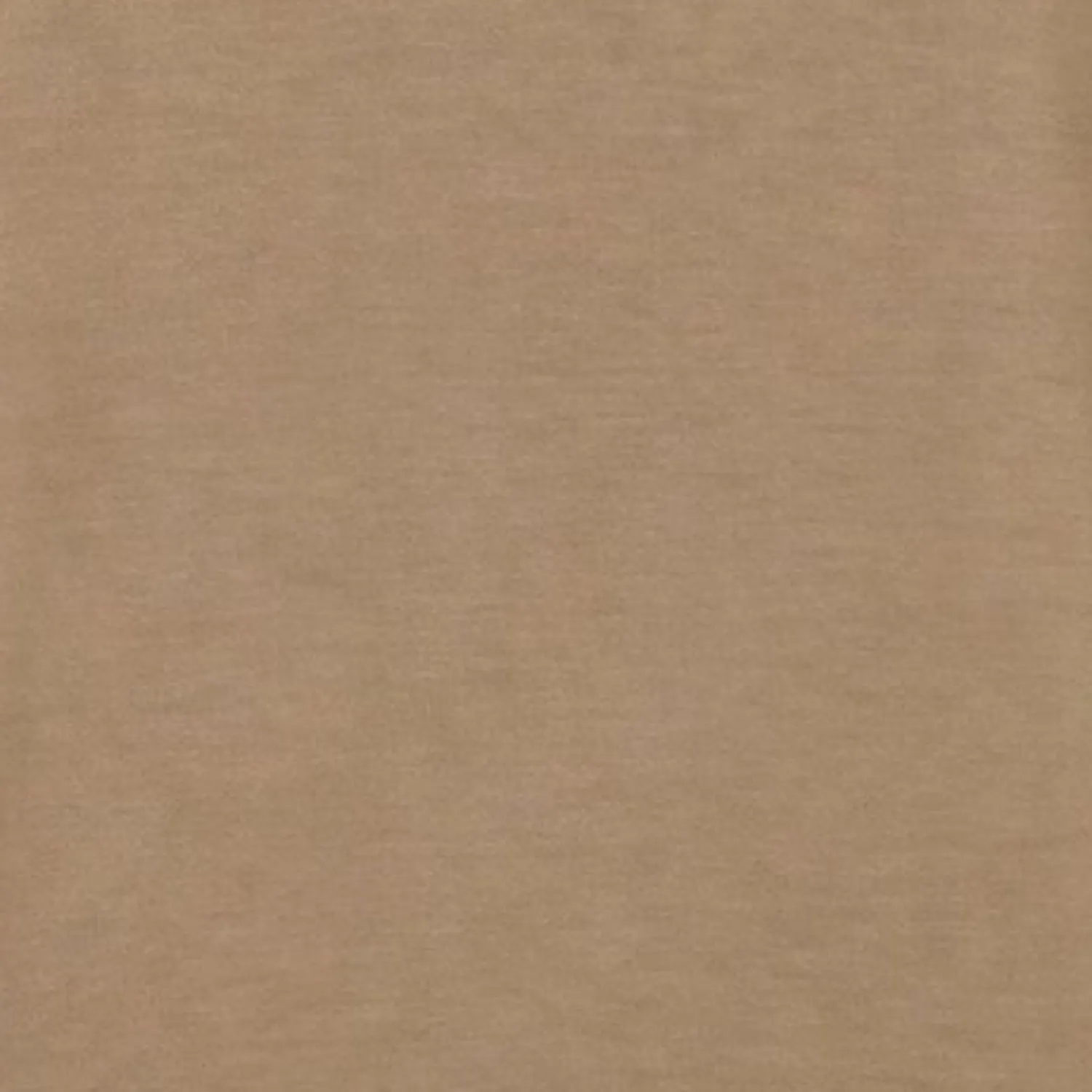 Save The Duck Akemi collegegenser beige