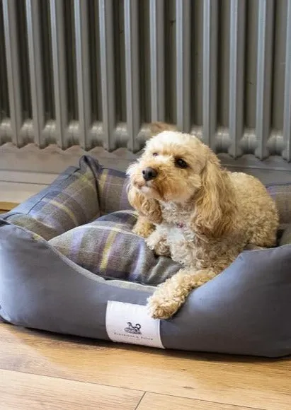 John Partridge Amherst 2 in 1 Dog bed hundeseng XS–M grå bomull