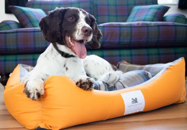 John Partridge Amherst 2 in 1 Dog Bed hundeseng Butterscotch XS–M