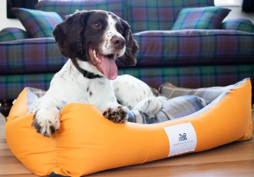 John Partridge Amherst 2 in 1 Dog Bed hundeseng Butterscotch XS–M