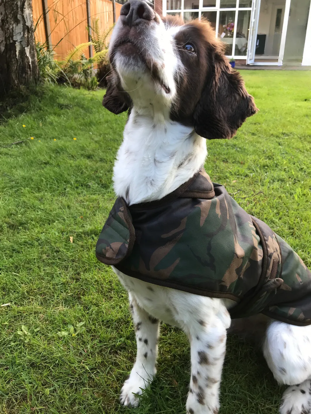 John Partridge Camo Wax hundedekken S–M, voksbehandlet