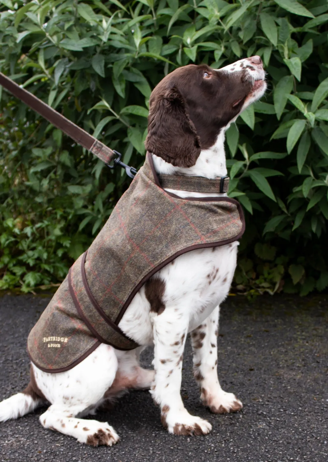 John Partridge Dog Coat hundedekken brun rutet vokset tweed S/M