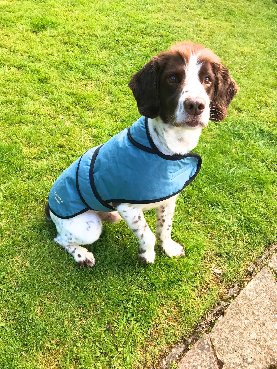 John Partridge Dog Coat hundedekken teal dry wax