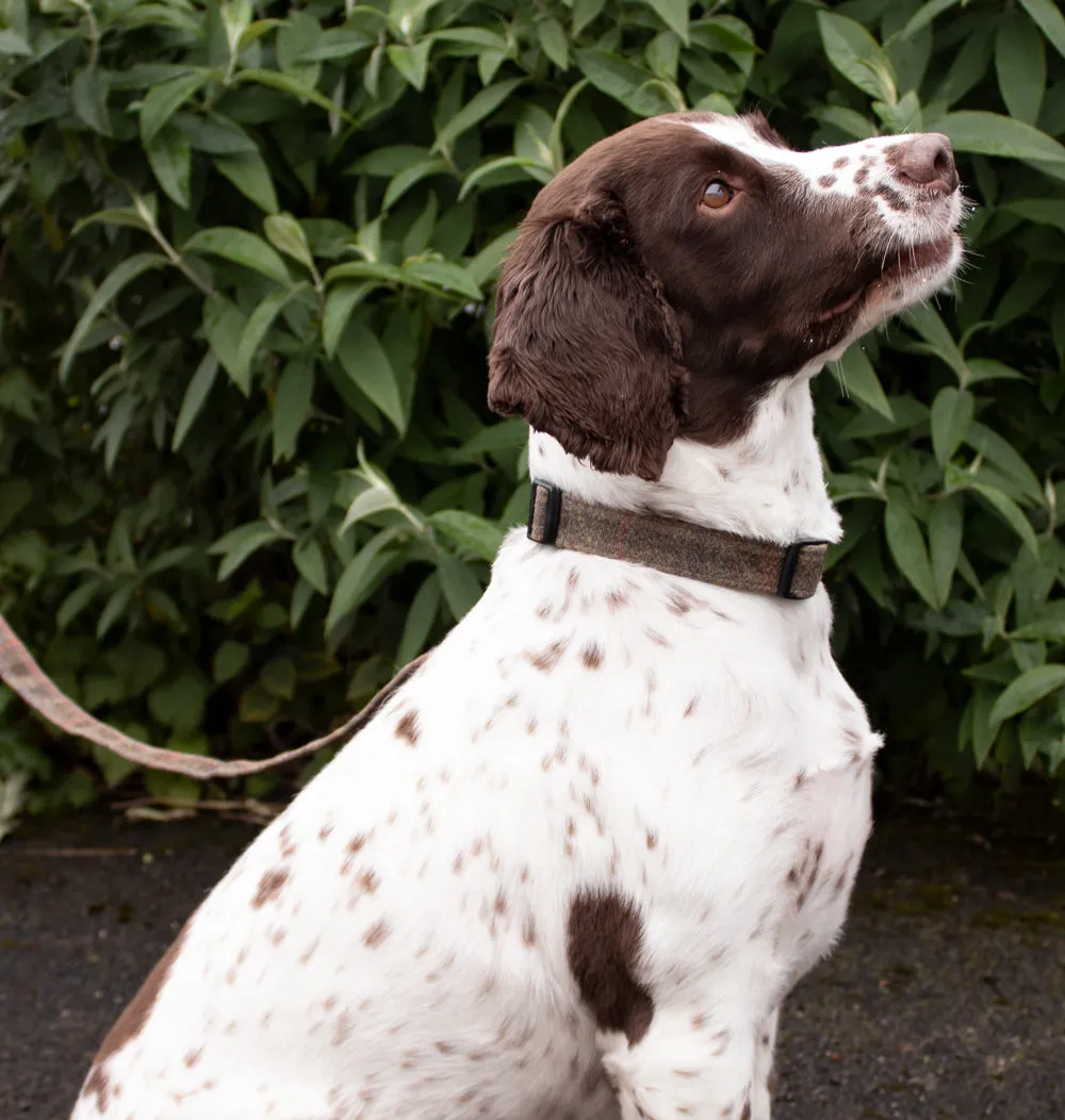 John Partridge Partridge & Pooch Dog Collar hundehalsbånd brunt voksbehandlet tweed