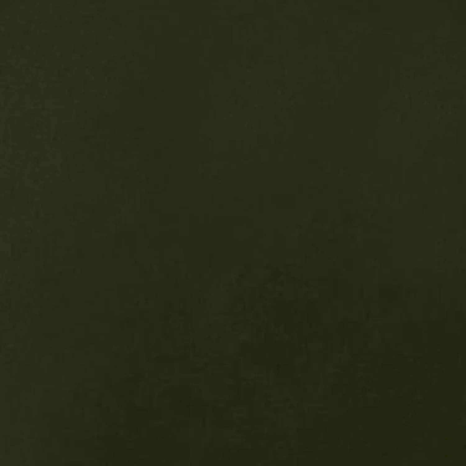Save The Duck Lolita parka Land Green slim fit