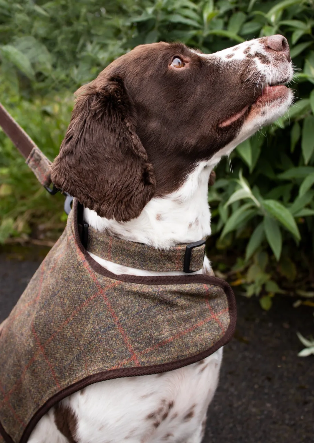 John Partridge Dog Coat hundedekken brun rutet vokset tweed S/M