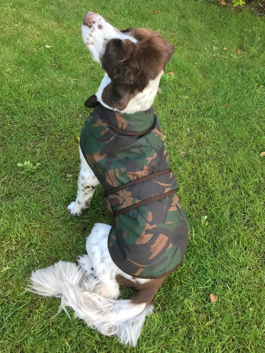 John Partridge Camo Wax hundedekken S–M, voksbehandlet