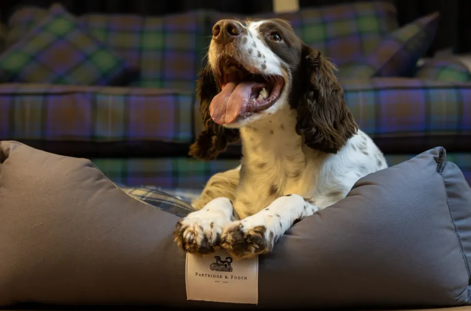John Partridge Amherst 2 in 1 Dog bed hundeseng XS–M grå bomull