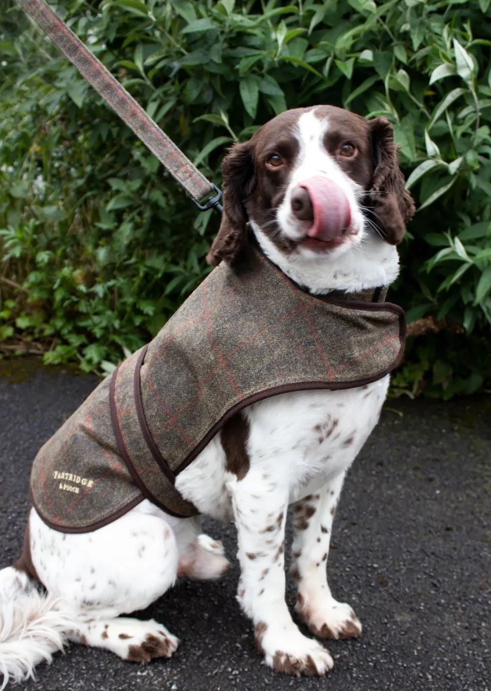 John Partridge Dog Coat hundedekken brun rutet vokset tweed S/M