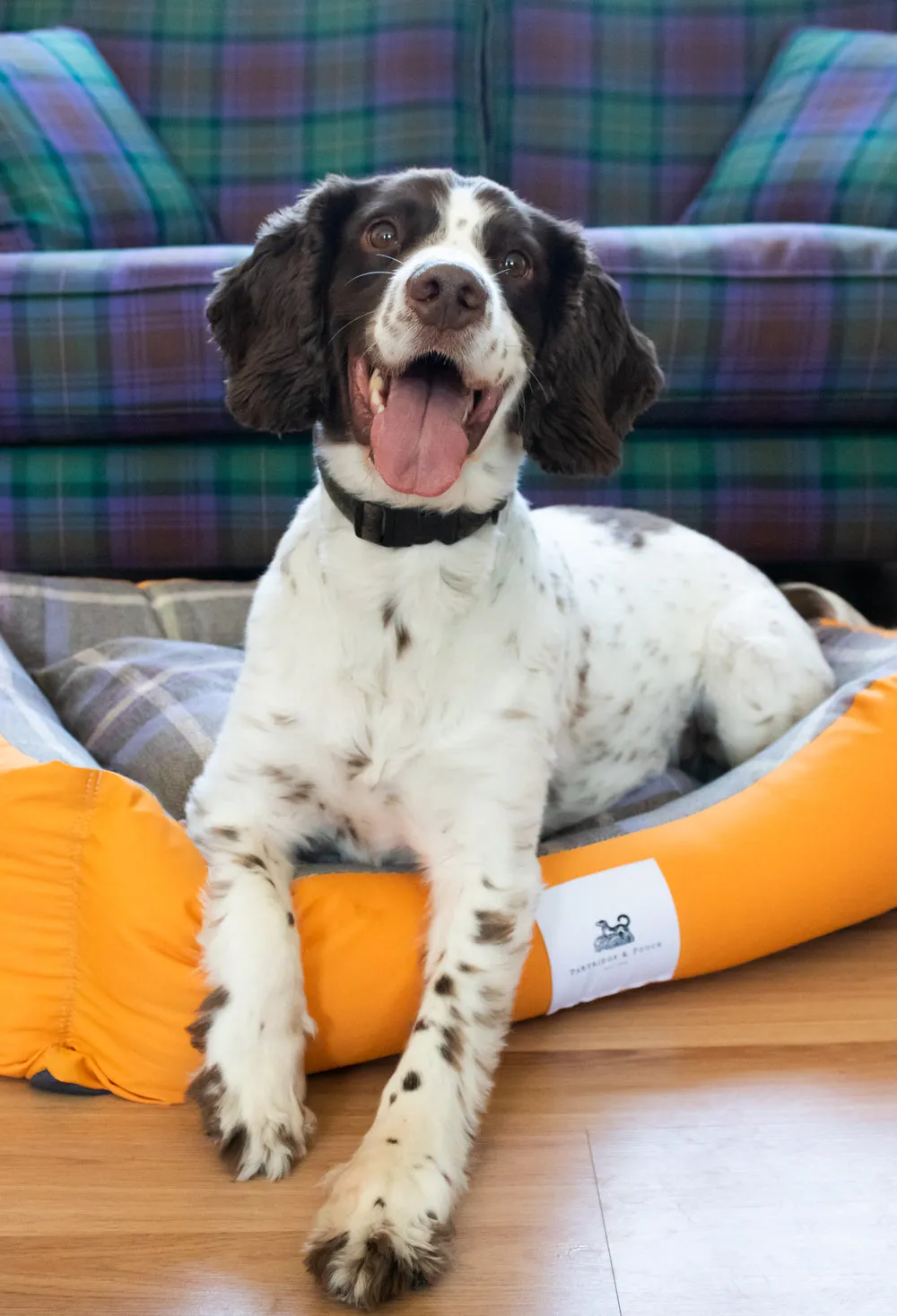 John Partridge Amherst 2 in 1 Dog Bed hundeseng Butterscotch XS–M