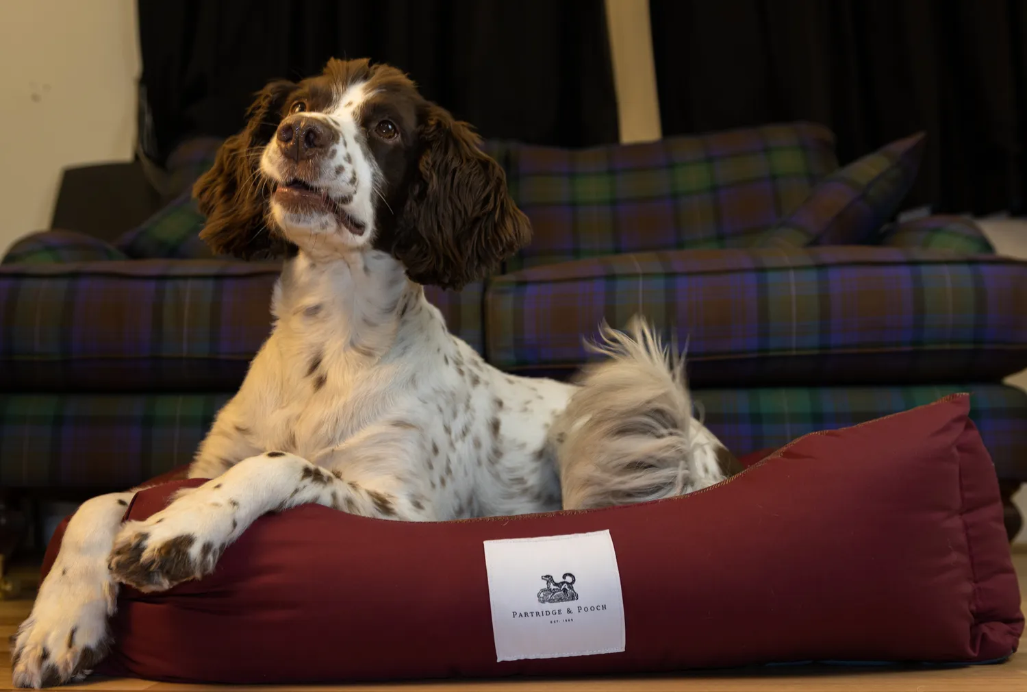 John Partridge Amherst 2 in 1 hundeseng Mulberry Red rutet bomull
