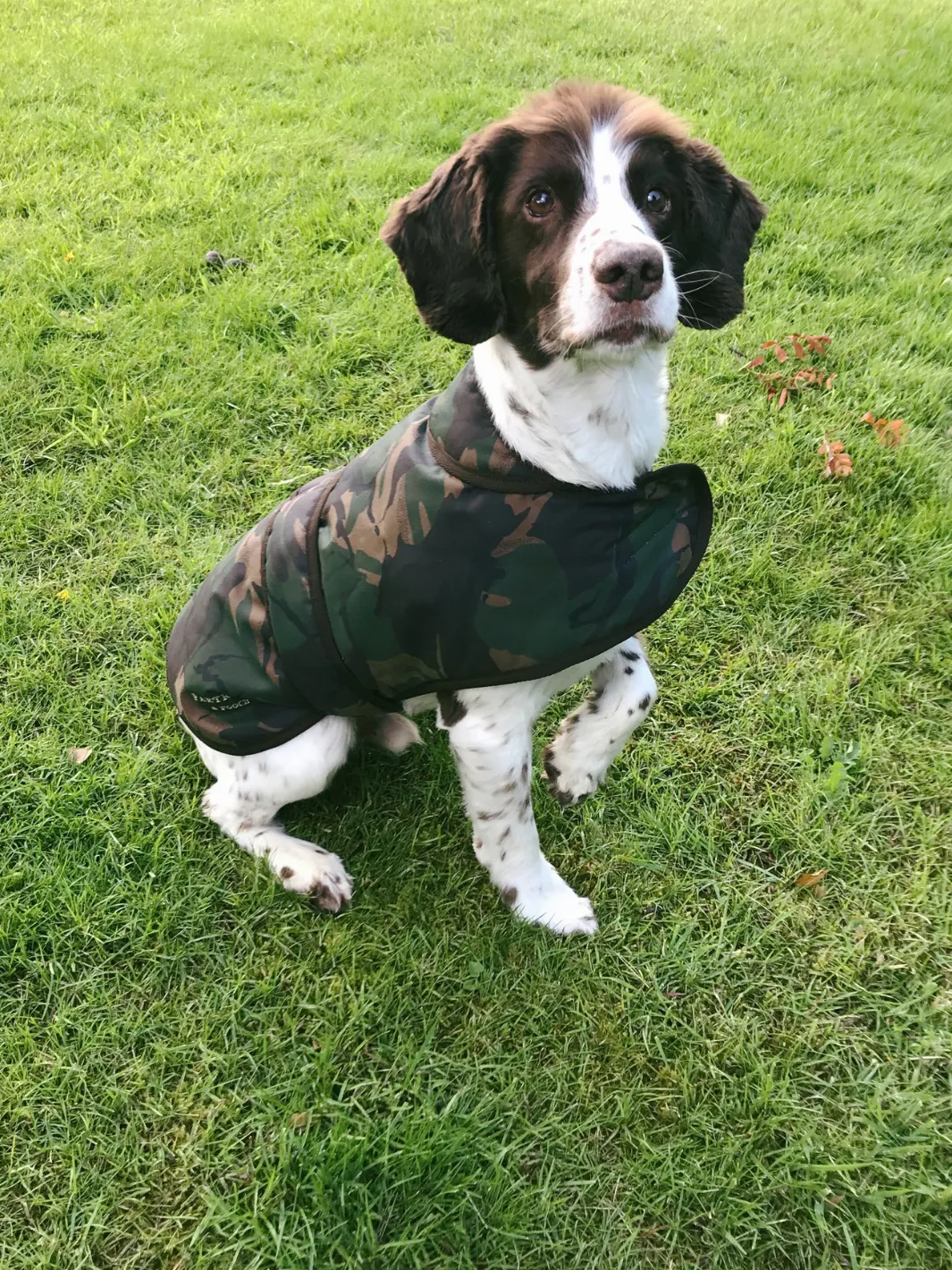 John Partridge Camo Wax hundedekken S–M, voksbehandlet