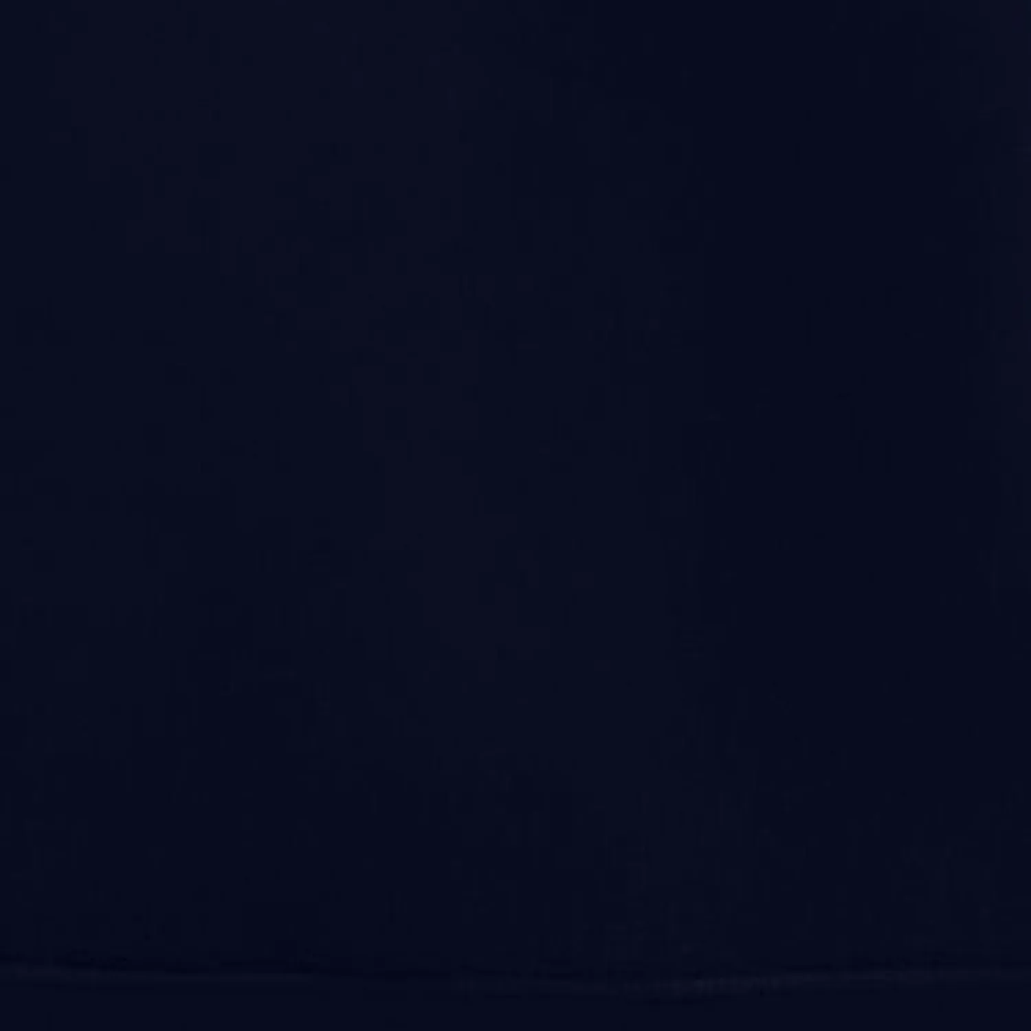 Save The Duck Hinoki sweatshirt herre Navy Blue regular fit