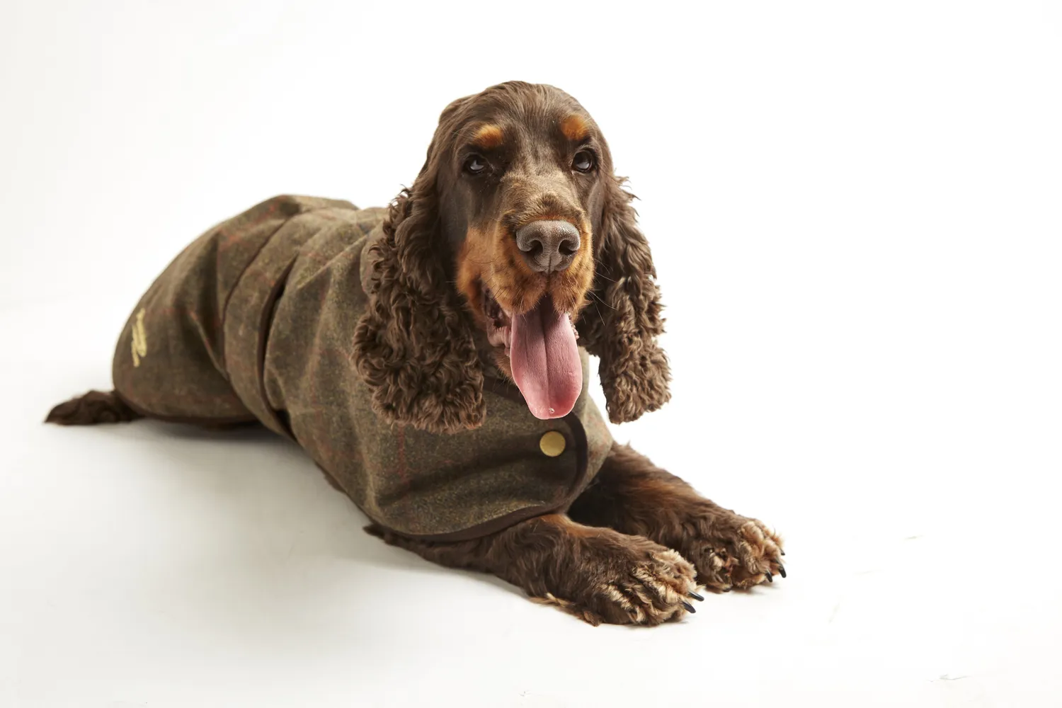 John Partridge Dog Coat hundedekken XXS brun rutet vokstweed