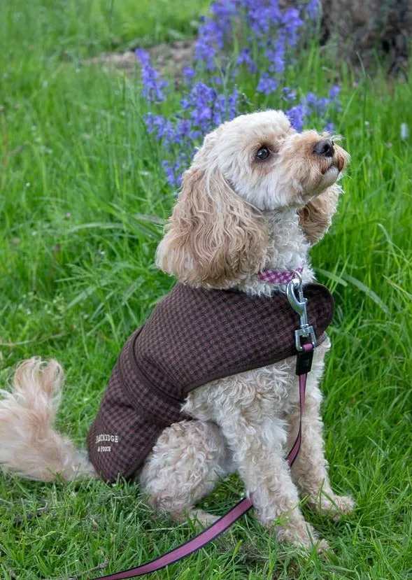 John Partridge Dog Coat hundedekken Brown Gingham S–M bomull
