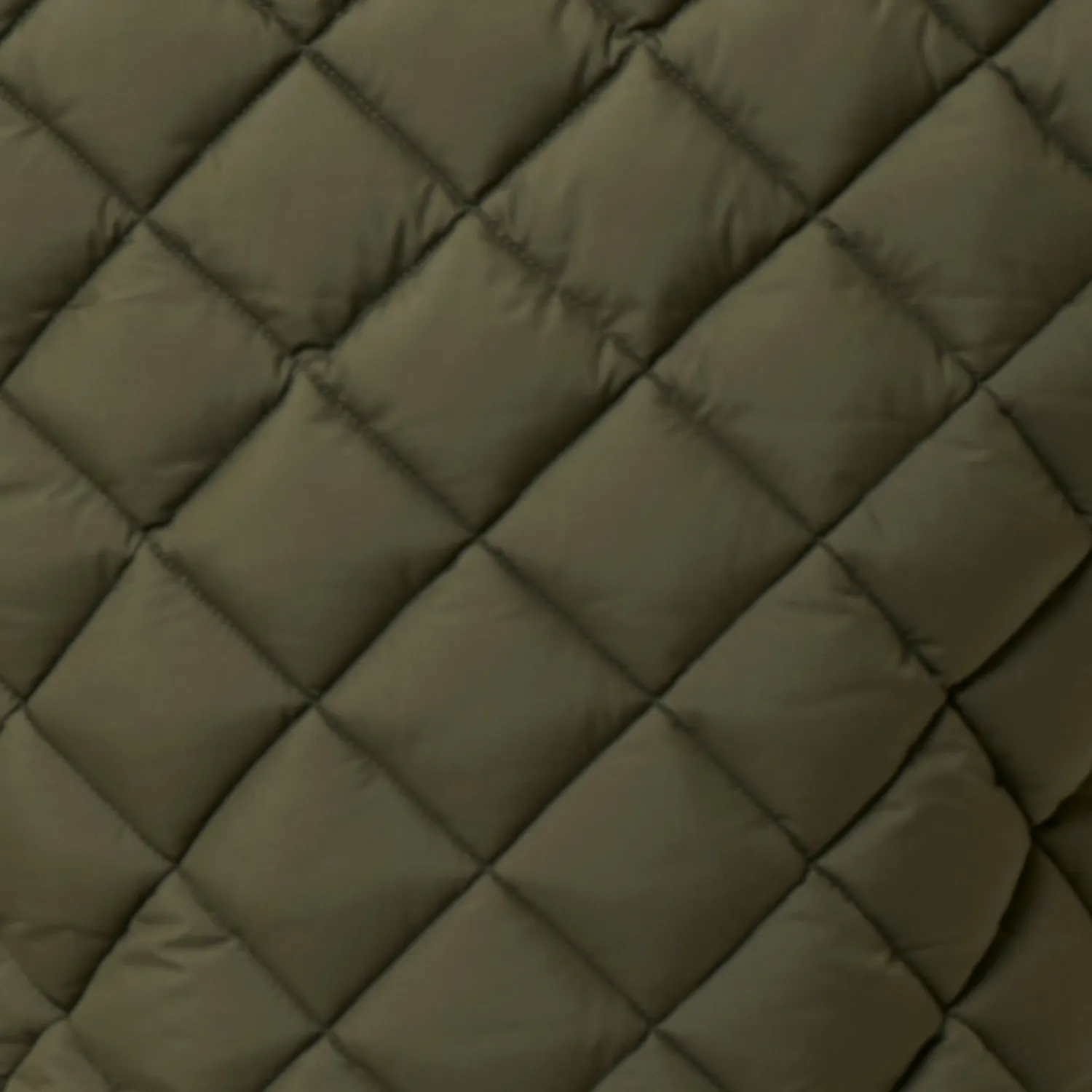 Save The Duck Fabrice boblevest herre Snake Green, resirkulert isolasjon