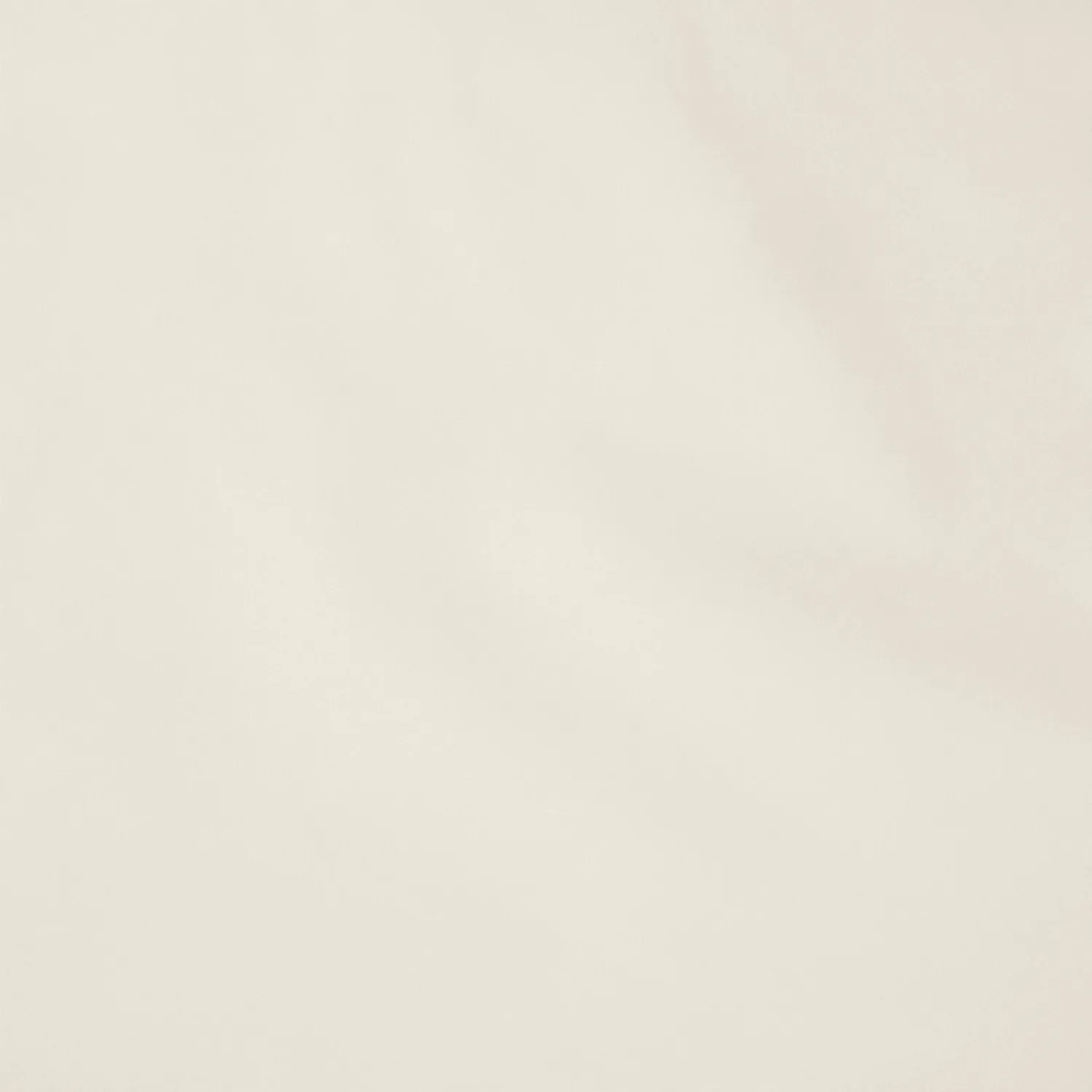Save The Duck Icons Ezra vendbar boblejakke herre Rainy Beige