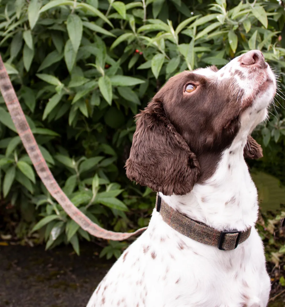 John Partridge Dog Lead hundebånd Brown Waxed Tweed 102 cm
