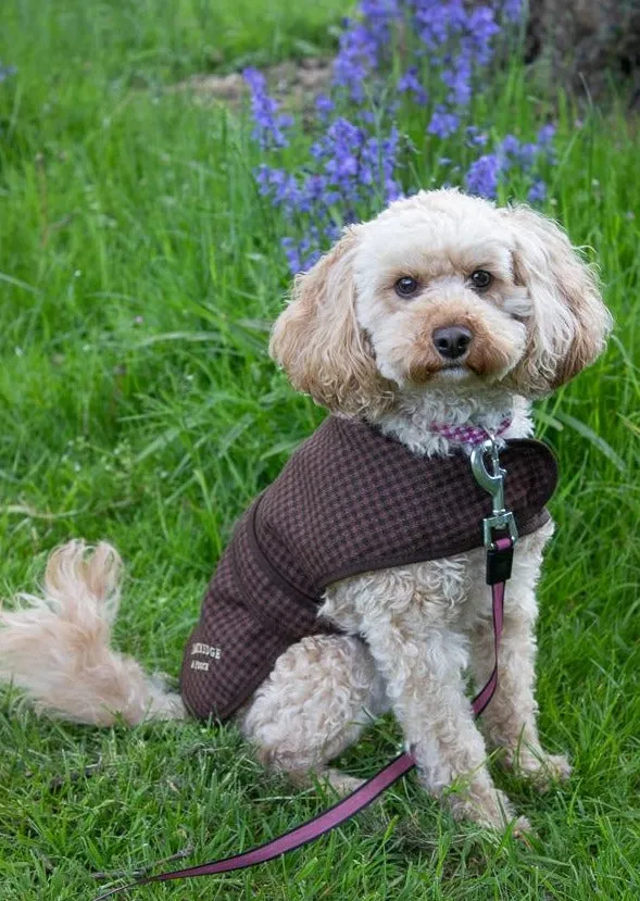 John Partridge Dog Coat hundedekken Brown Gingham S–M bomull