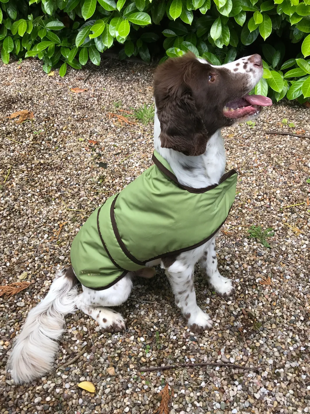 John Partridge Dog Coat Light Green Wax hundedekken voksstoff